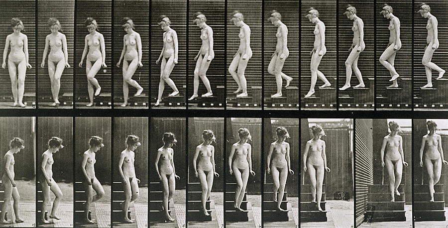 1895_mechanical_butcher_005_eadweard_muybridge_woman_1885