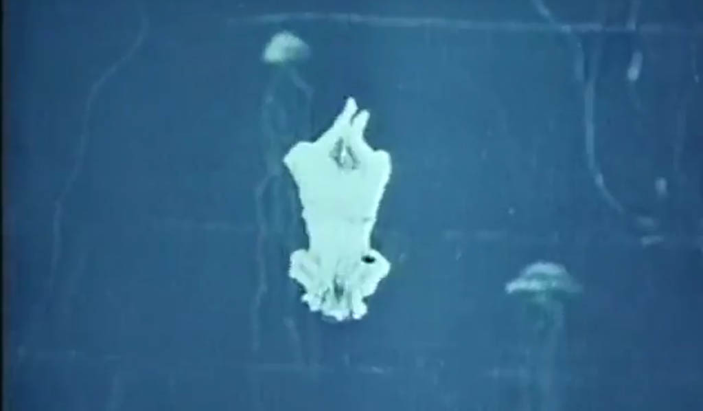 1907_petit_jules_verne_002