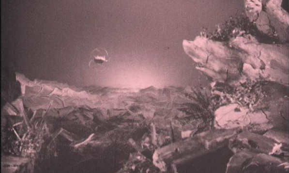 1925_our_heavenly_bodies_009