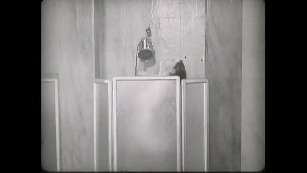 1929_high_treason_036_benita_hume