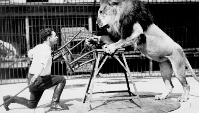 1943_captive_wild_woman_021 clyde beatty