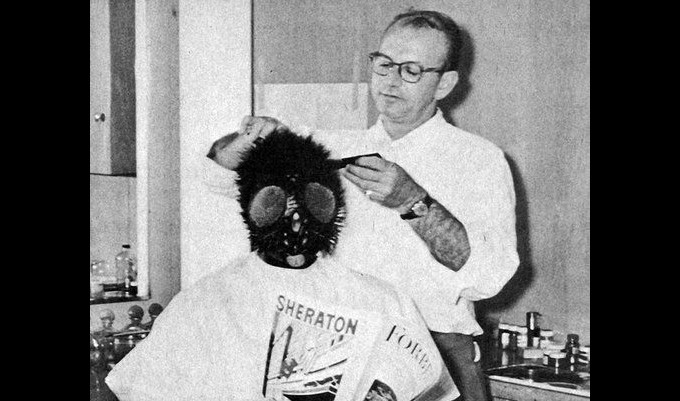 1949_it_happens_every_spring_014 ben nye david hedison 1958 the fly