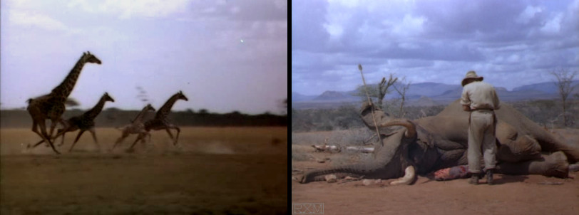 1950_king_solomons_mines_024