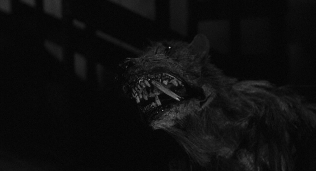 A menacing, monstrous creature with exposed teeth and fur, set against a dark background.