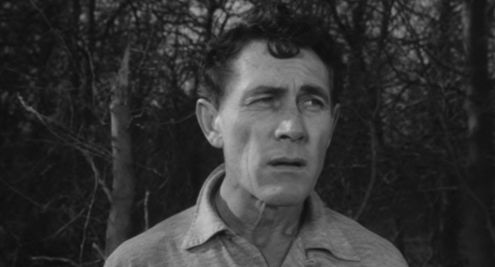 A close-up of a man with a concerned expression standing outdoors, with bare trees in the background.