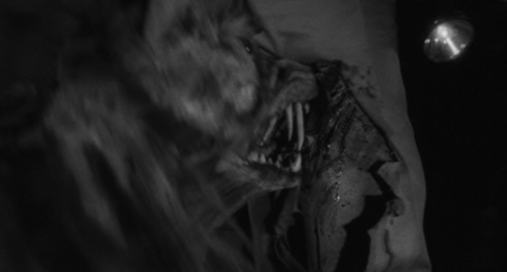 A close-up of a distorted and menacing creature's face with sharp teeth, partially obscured by dark shadows.