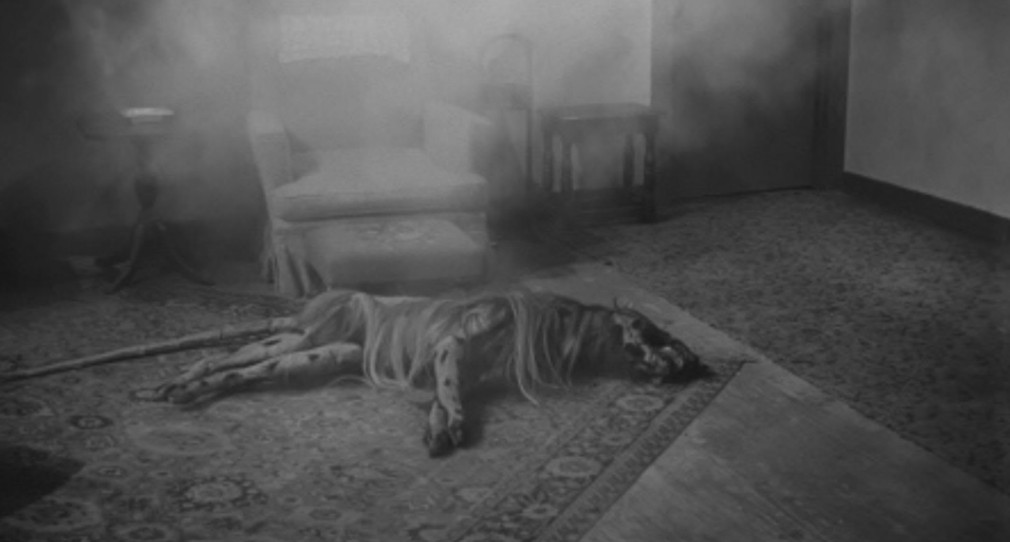 A still image of a dimly lit room featuring a large, motionless animal lying on a patterned rug, with smoke partially obscuring the view. A chair and small table are visible in the background.