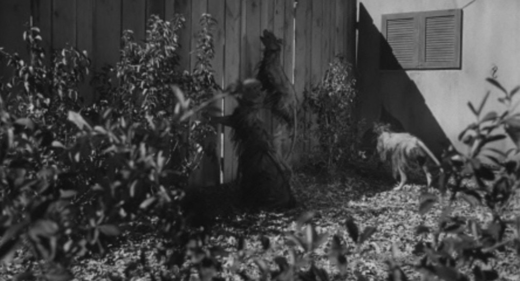 A shadowy figure resembling a person stands against a wooden fence in a garden, surrounded by plants and foliage. A dog is present, observing the figure.