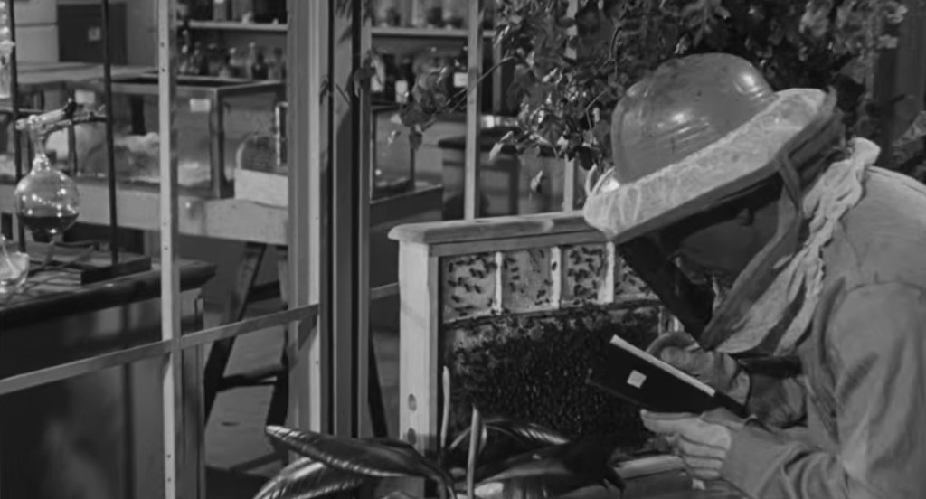A person in protective gear is observing a beehive and taking notes inside a laboratory setting with glass shelves and scientific equipment in the background.