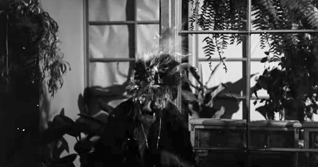 A dramatic black and white scene featuring a person with water splashing around their head, set against a backdrop of glass windows and lush plants.